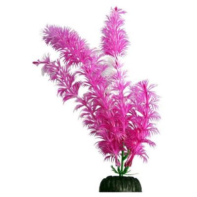 Aqua One Brightscape Medium Ambulia Pink 20cm
