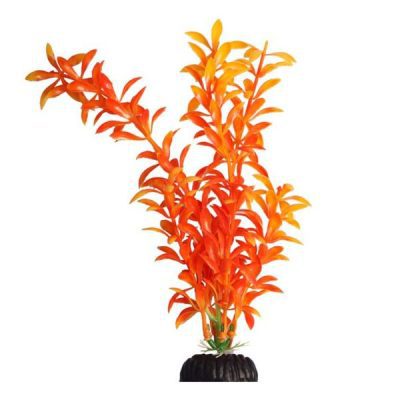 Aqua One Brightscape Orange Ludwigia