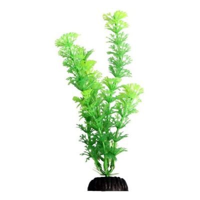 Aqua One Ecoscape Green Ambulia 20cm