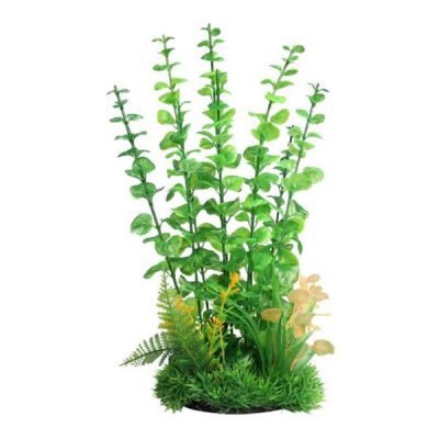 Aqua One Ecoscape Large Baby Tears Green 30cm