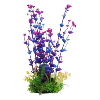 Aqua One Ecoscape Purple Ogris Auribus 30cm
