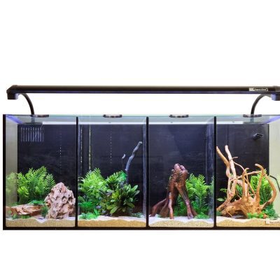 Aqua One Betta Quad Aquarium