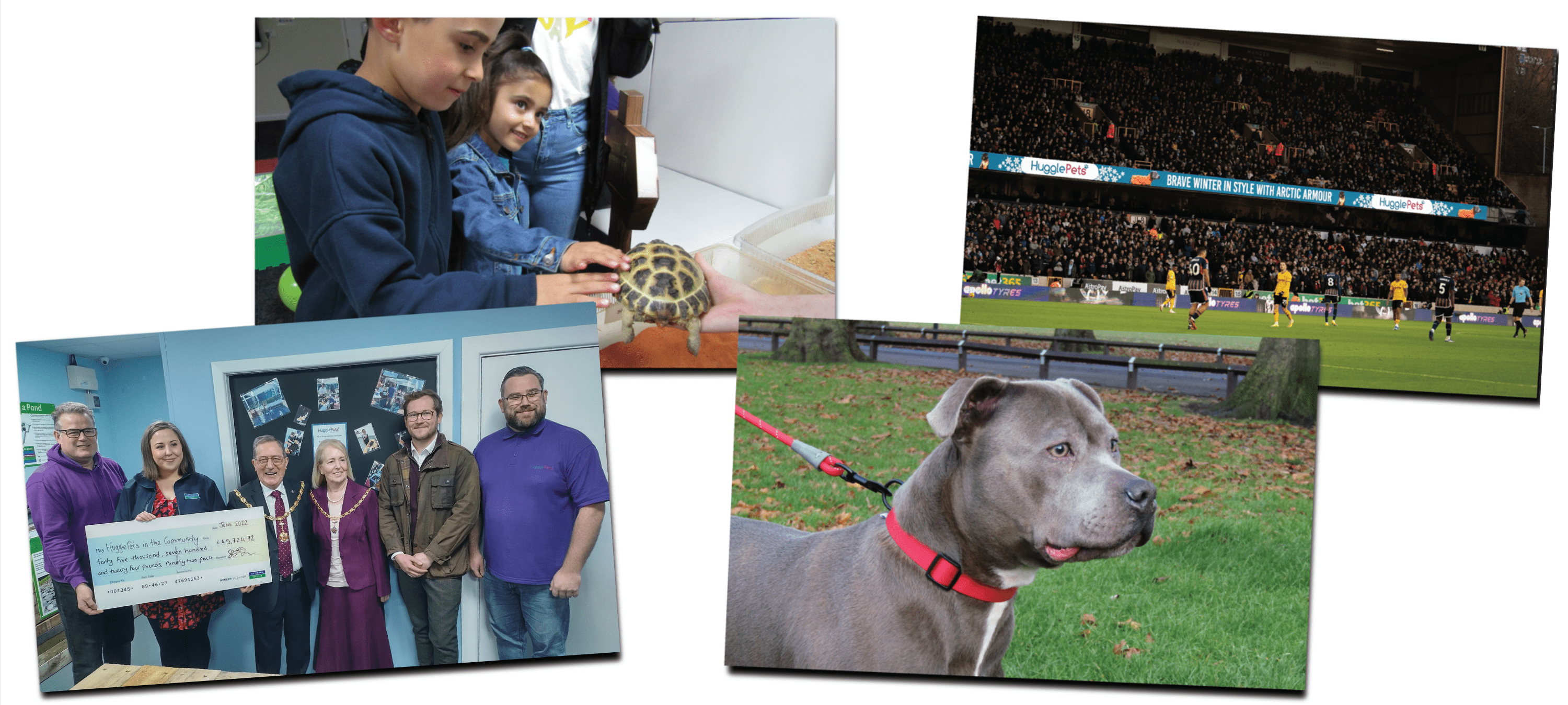 Thanks for supporting HugglePets in 2023 - images illustrating notable things from this year.