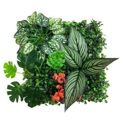 Betta Terra Calathea Garden Mat