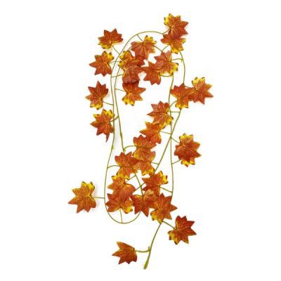 Betta Terra Orange Star Vine 230cm