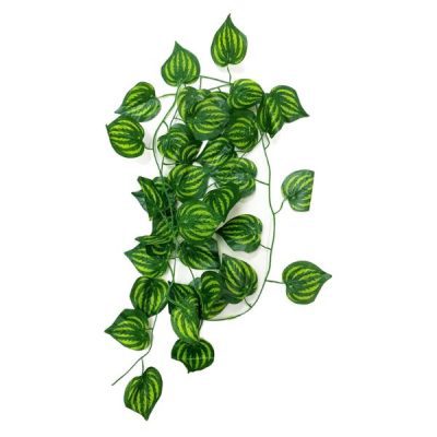 Betta Terra Striped Green Ivy Vine