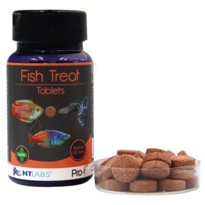 NT Labs Pro-F Fish Treat Tablets 40g