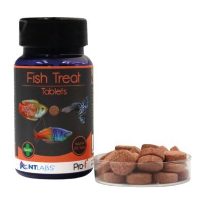 NT Labs Pro-f Fish Treat Tablets 40g