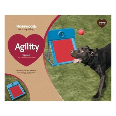 Rosewood Dog Agility Flyball