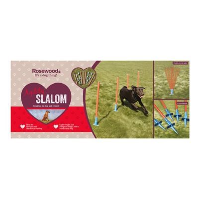Rosewood Dog Agility Slalom