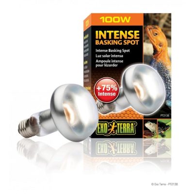 Exo-Terra Intense Basking Spot - 100W