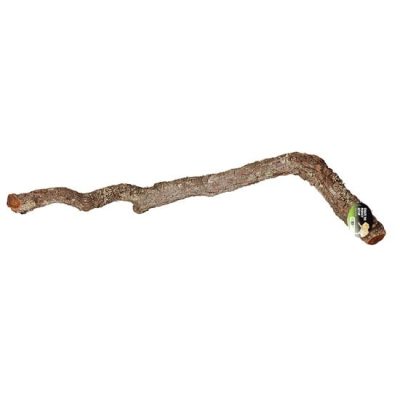 ProRep Cork Oak Branch - 40 - 60cm