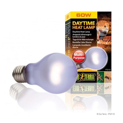 Exo-Terra Daytime Heat Lamp - 60W