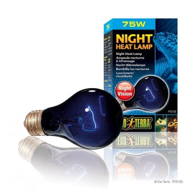 Exo-Terra Night Heat Lamp - 75W