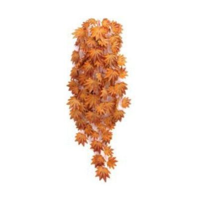 Betta Terra Orange Terrarium Vine