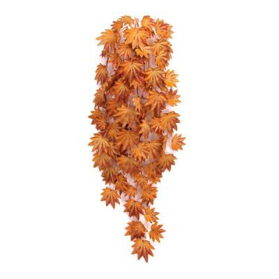 Betta Terra Orange Terrarium Vine 70cm