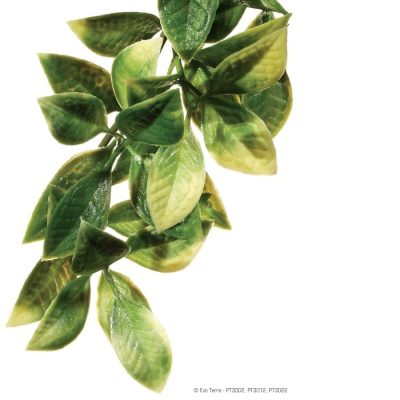 Exo-Terra Amapallo Shrub - Large