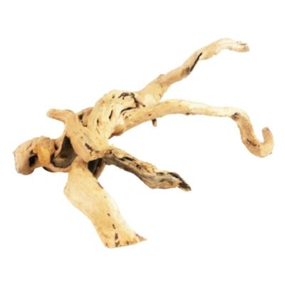 Aqua One Azalea Root - Medium