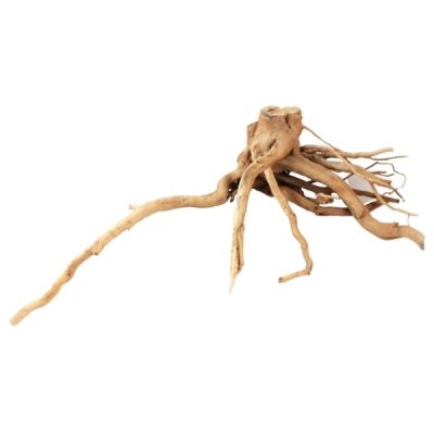 Aqua One Azalea Root - XL