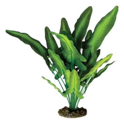 Aqua One Green/White Sword Silk Plant - 20cm