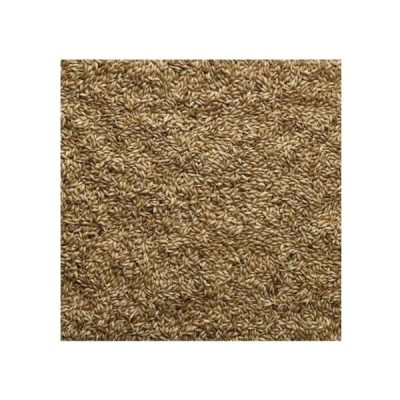Bucktons Loose Canary Seed - 500g