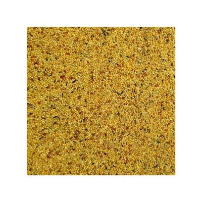 Bucktons Loose Foreign Finch - 2kg