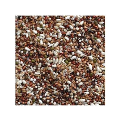 Bucktons Loose Pigeon Conditioner - 2kg