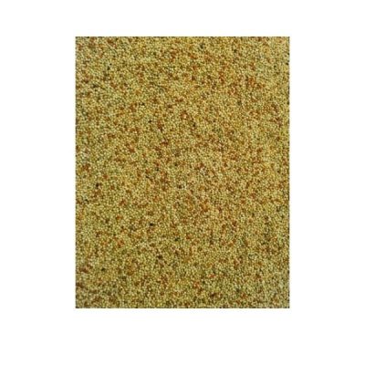 Bucktons Loose Special Budgie - 500g