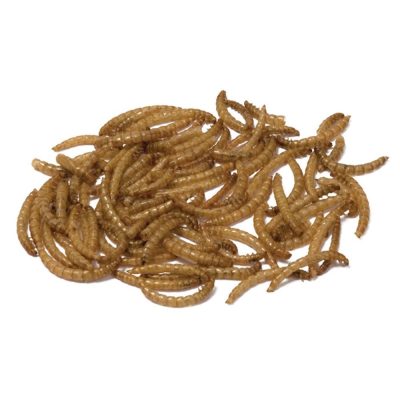 Bucktons Loose Dried Mealworms - 1kg