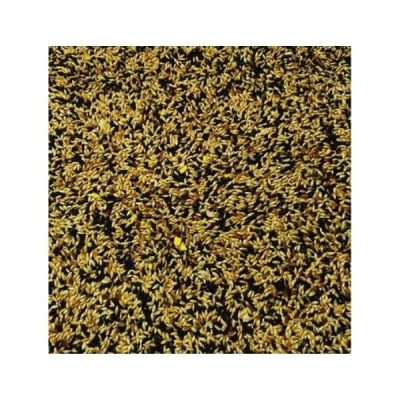 Bucktons Loose No.1 Mixed Canary - 2kg