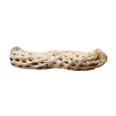Sky Pets Cactus Perch - Large