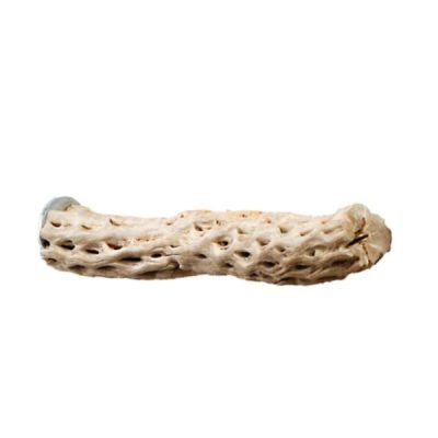 Sky Pets Cactus Perch - Small