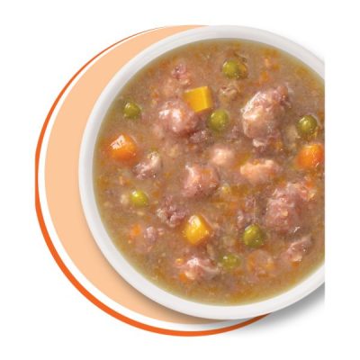 Catit Cuisine Stew - Chicken Stew with Pumpkin
