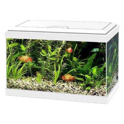 Ciano Aqua 20 Aquarium With LED Light 17L - White