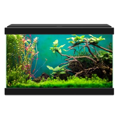 Ciano Aqua 20 Classic Aquarium 17L - Black