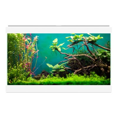Ciano Aqua 20 Classic Aquarium 17L - White