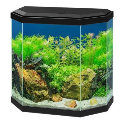 Ciano Aqua 30 Aquarium With LED Light 25L - Black