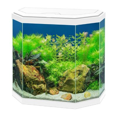 Ciano Aqua 30 Aquarium With LED Light 25L - White