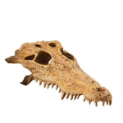 Exo-Terra Skulls Hide Out - Crocodile Skull