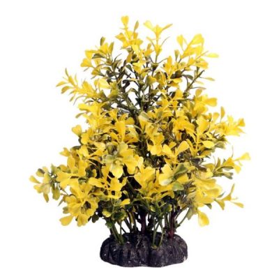 Aqua One Ecoscape Medium Aquatic Plants - Japanese Box Yellow