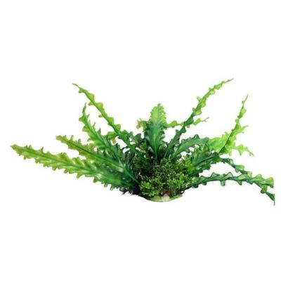 Aqua One Ecoscape Medium Aquatic Plants - Ruffled Lace Plant Green