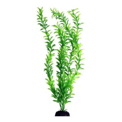 Aqua One Ecoscape XLarge Aquatic Plants - Hygro Green