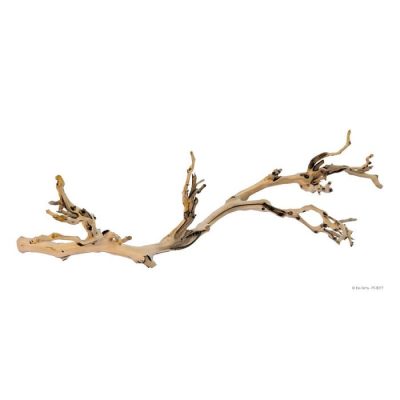Exo Terra Reptile Forest Branch - Large