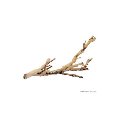 Exo Terra Reptile Forest Branch - Small