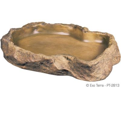 Exo Terra Feeding Dish - X-Large