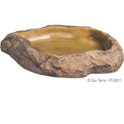 Exo Terra Feeding Dish - Medium