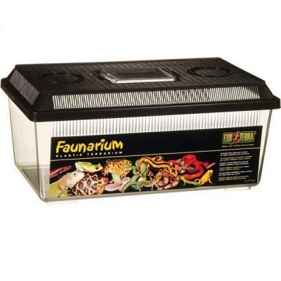 Exo Terra Flat Faunarium - Medium