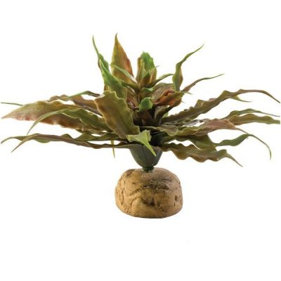 Exo Terra Desert Plants - Star Cactus