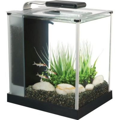 Fluval Spec - Black - 10L
