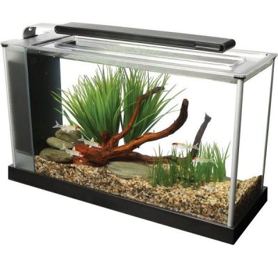 Fluval Spec - Black - 19 L